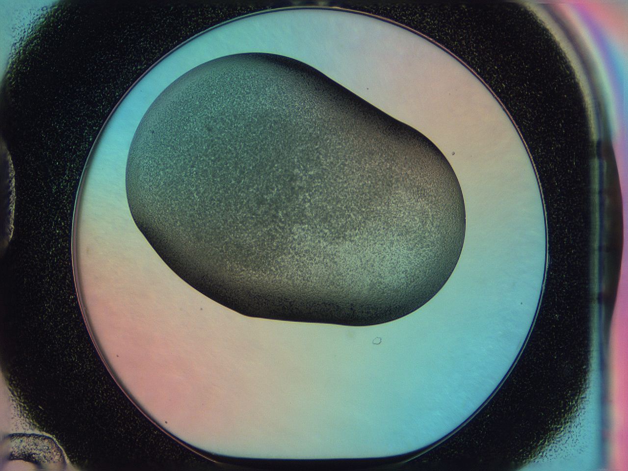 0585_D12_ImagerDefaults_3.jpg