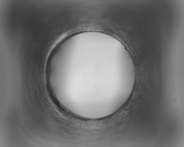 X0000055210008200508301334.png