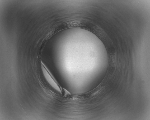 X0000055210224200508301330.png