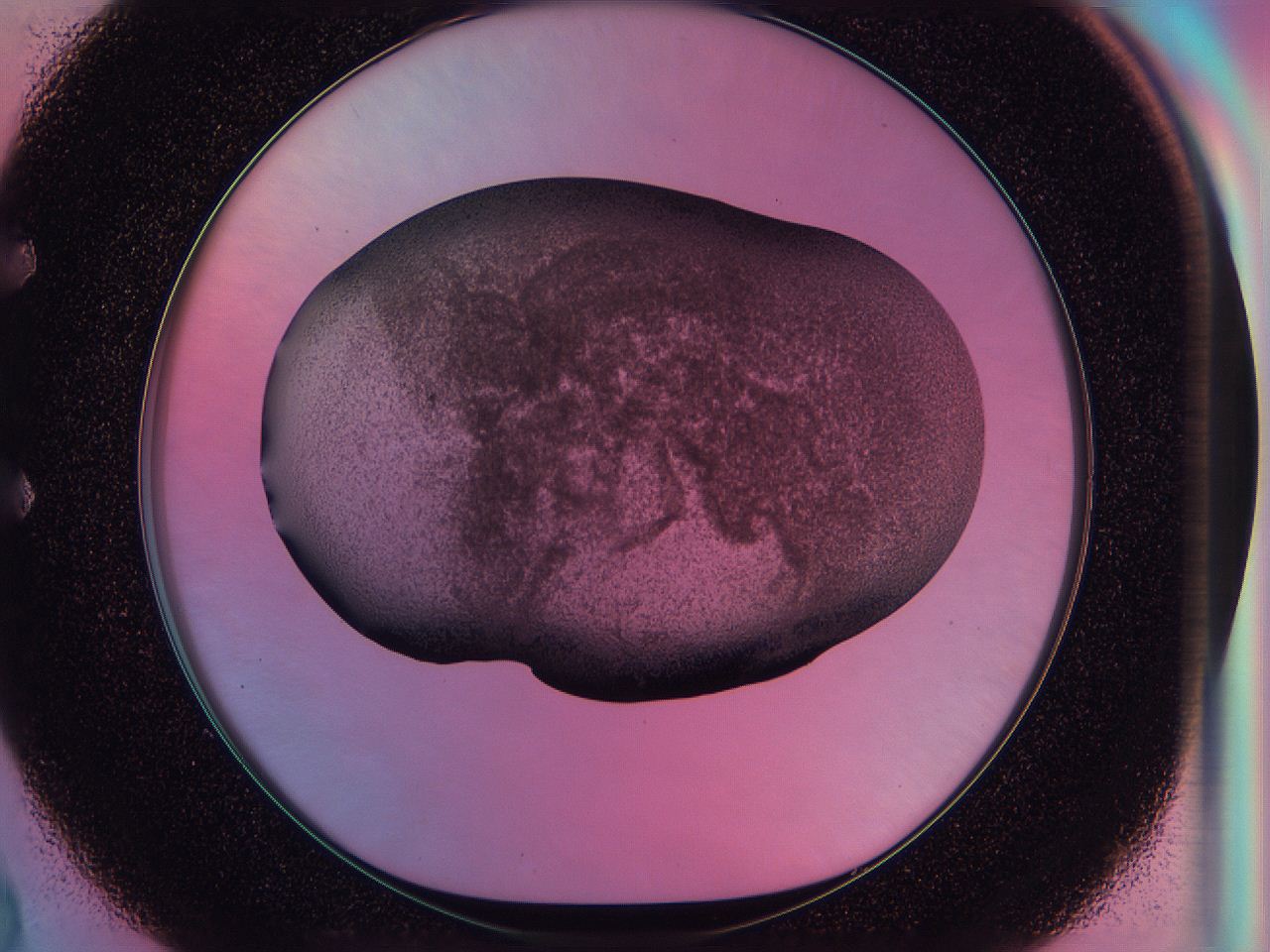 0585_E2_ImagerDefaults_3.jpg