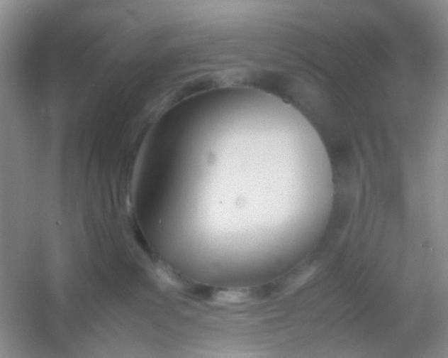 X0000054330139200508111929.png