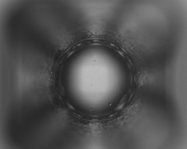 X0000047470464200503091603.png