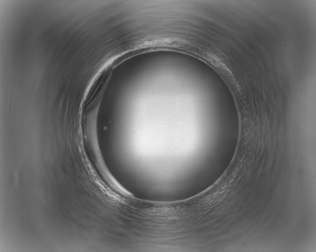 X0000055060792200508161644.png