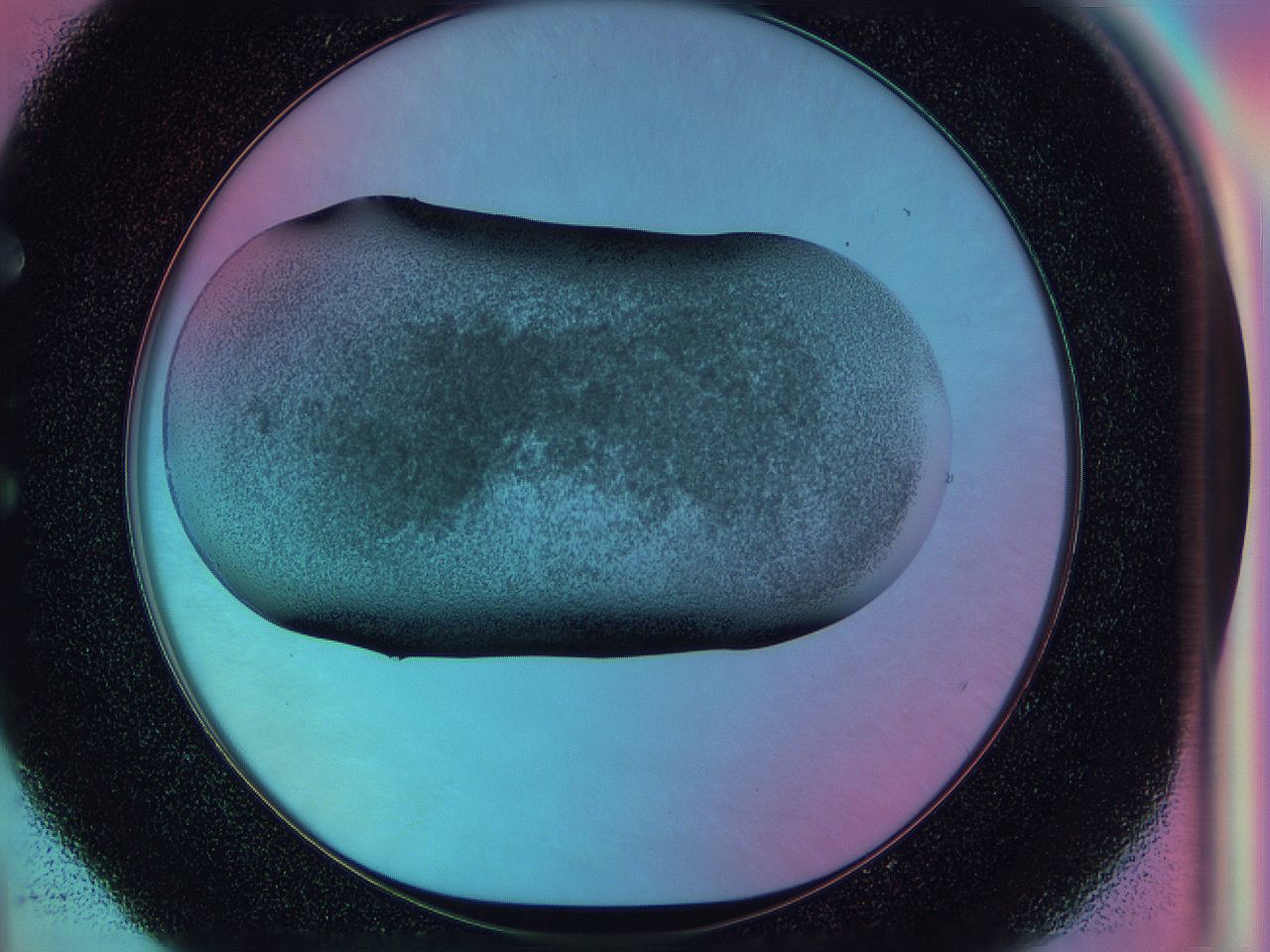 0585_E4_ImagerDefaults_3.jpg
