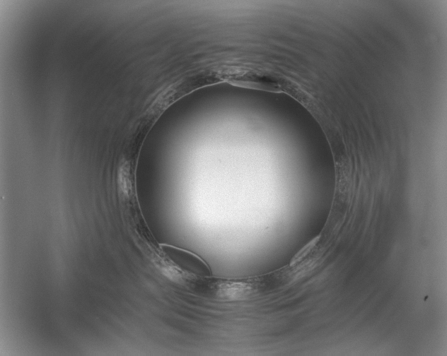 X0000055060287200508161654.png