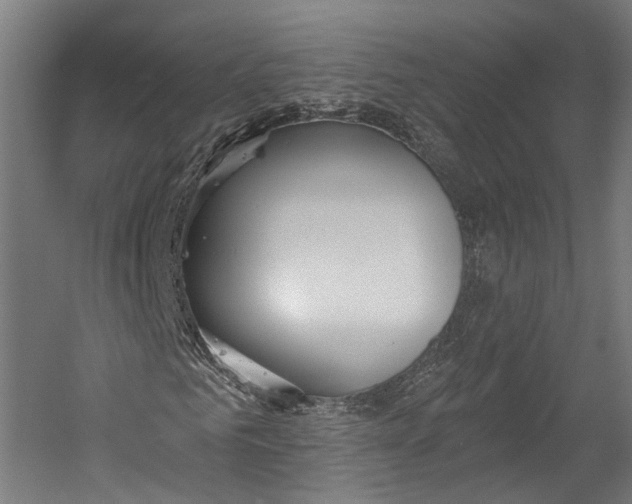 X0000055210961200508301317.png
