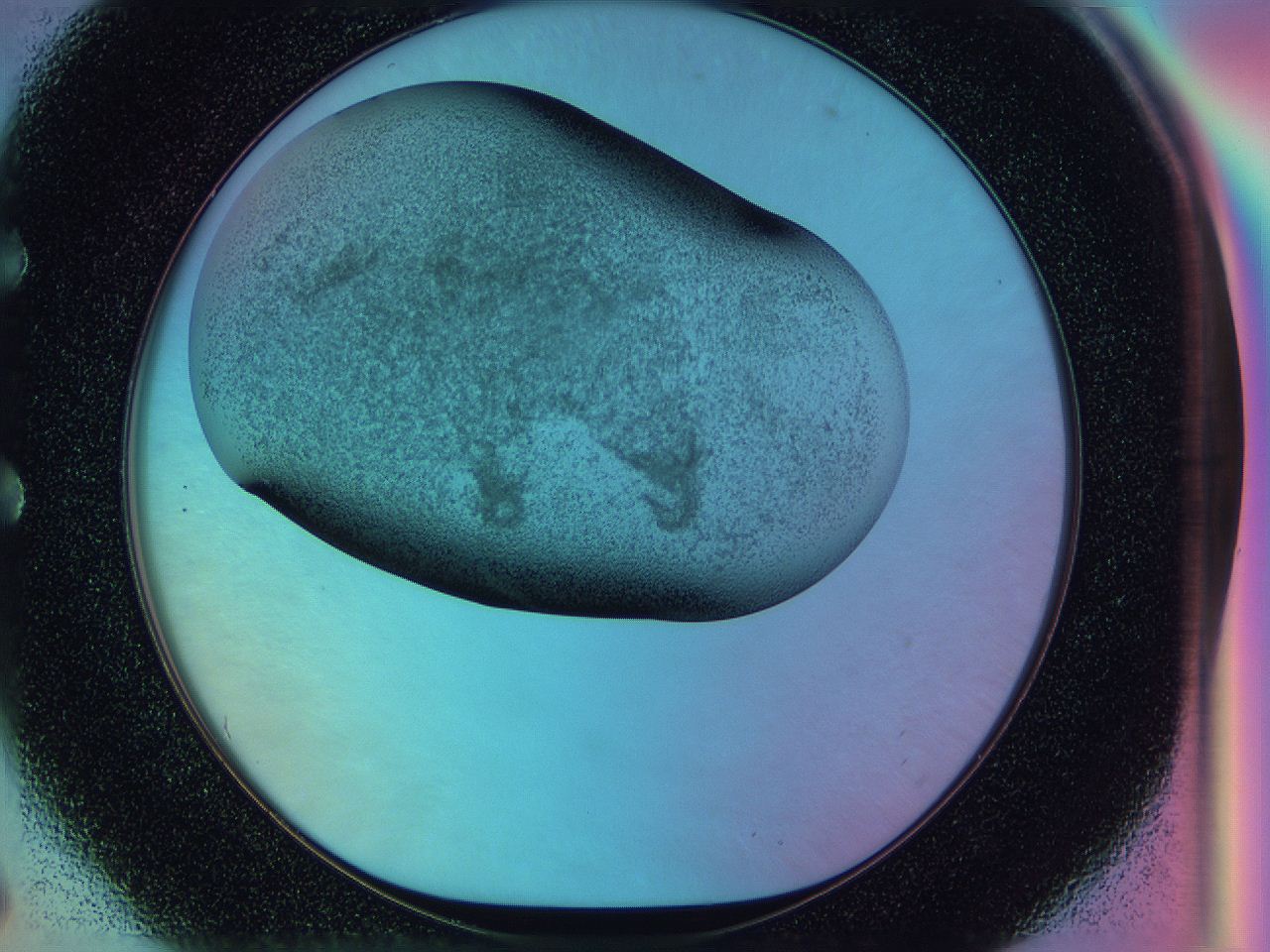 0585_E6_ImagerDefaults_3.jpg