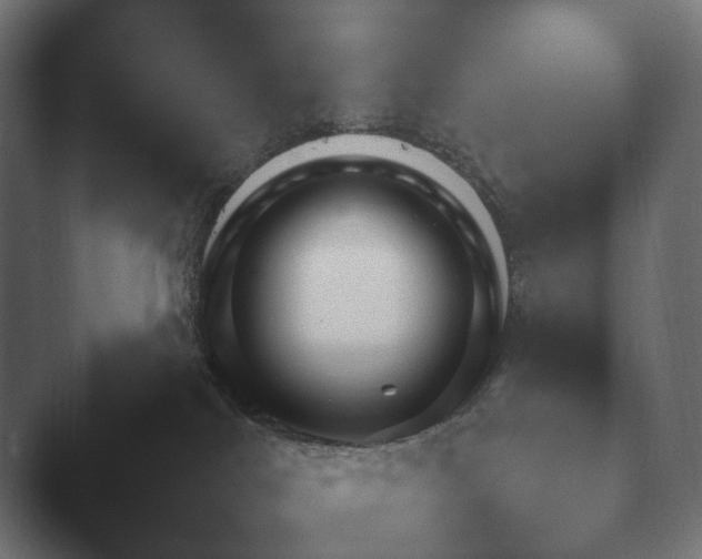 X0000047470044200503091610.png
