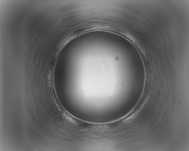 X0000055061001200508161641.png