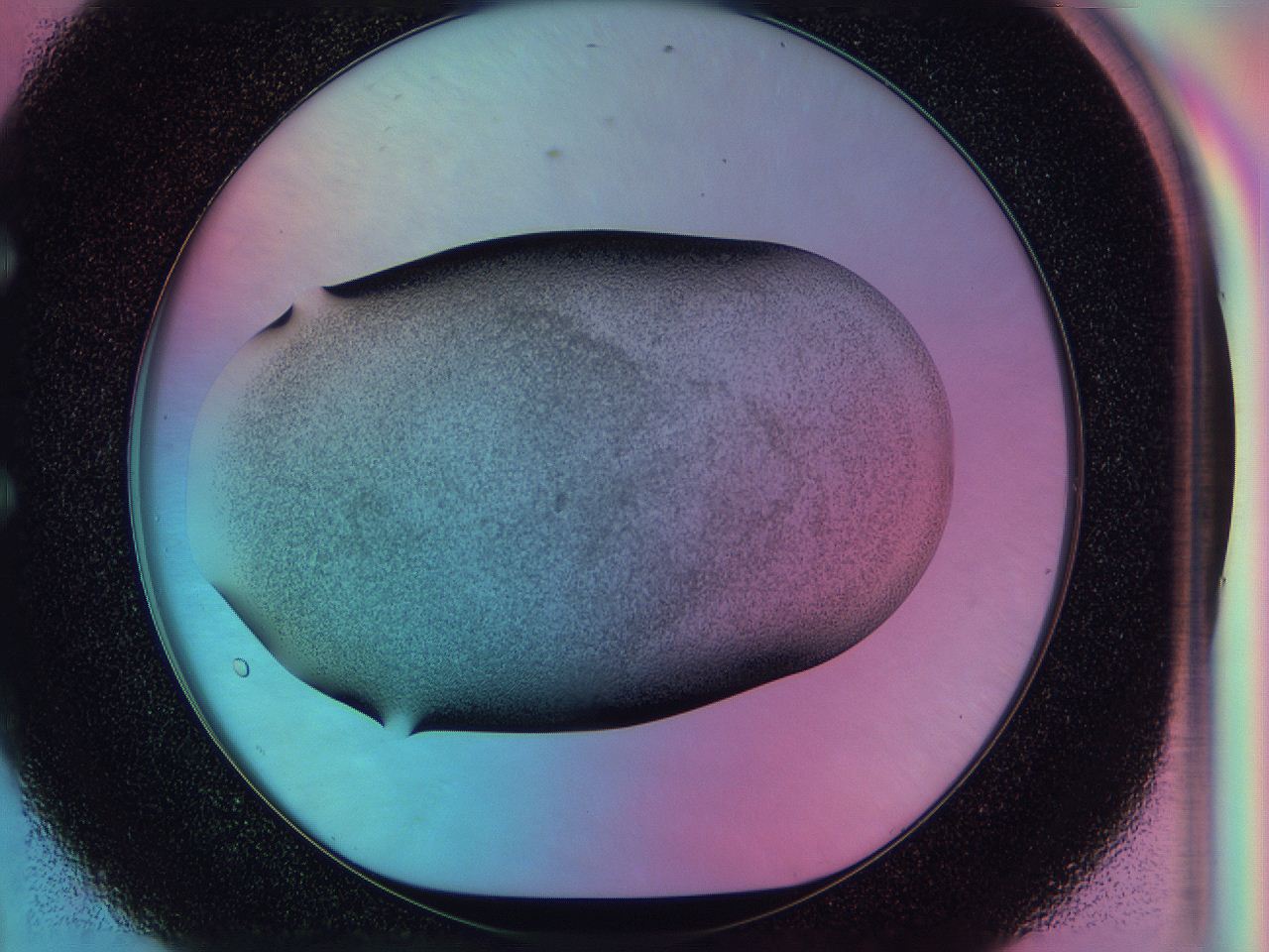 0585_E8_ImagerDefaults_3.jpg
