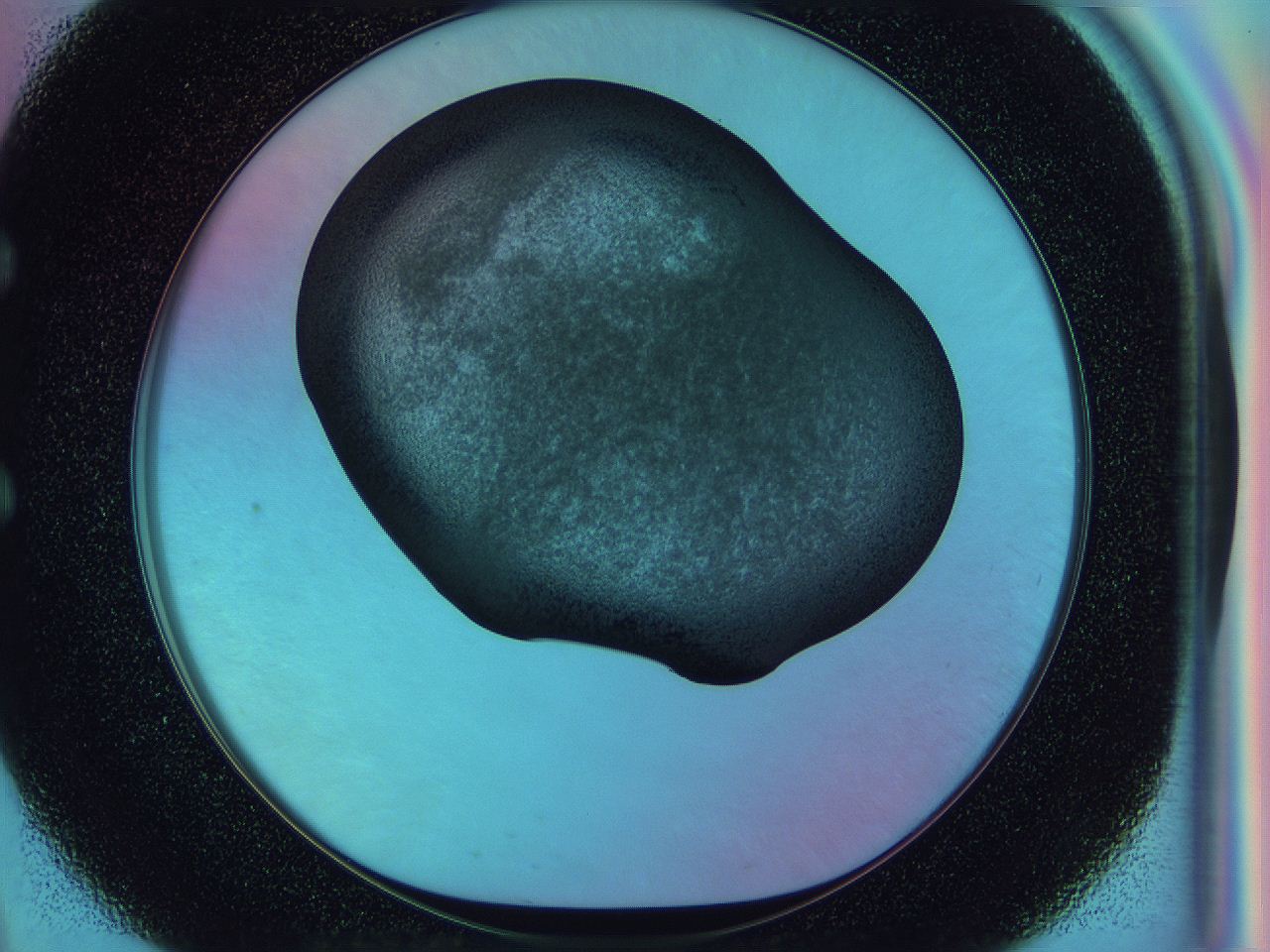 0585_E9_ImagerDefaults_3.jpg