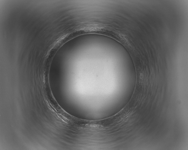 X0000055210539200508301324.png