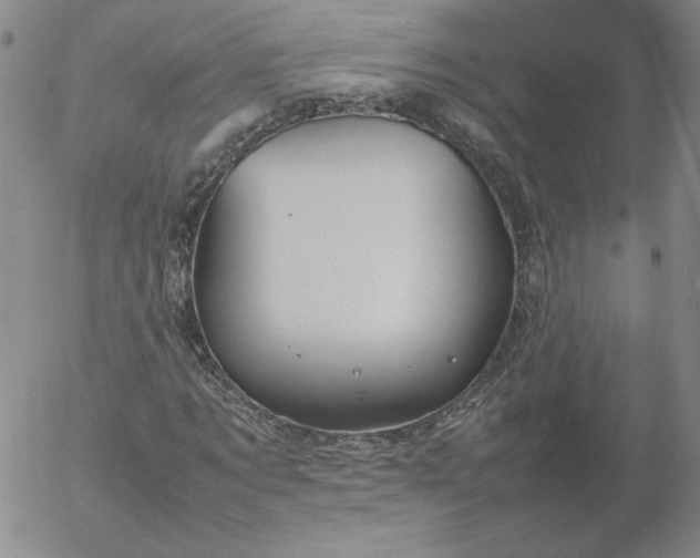 X0000054650869200508091639.png