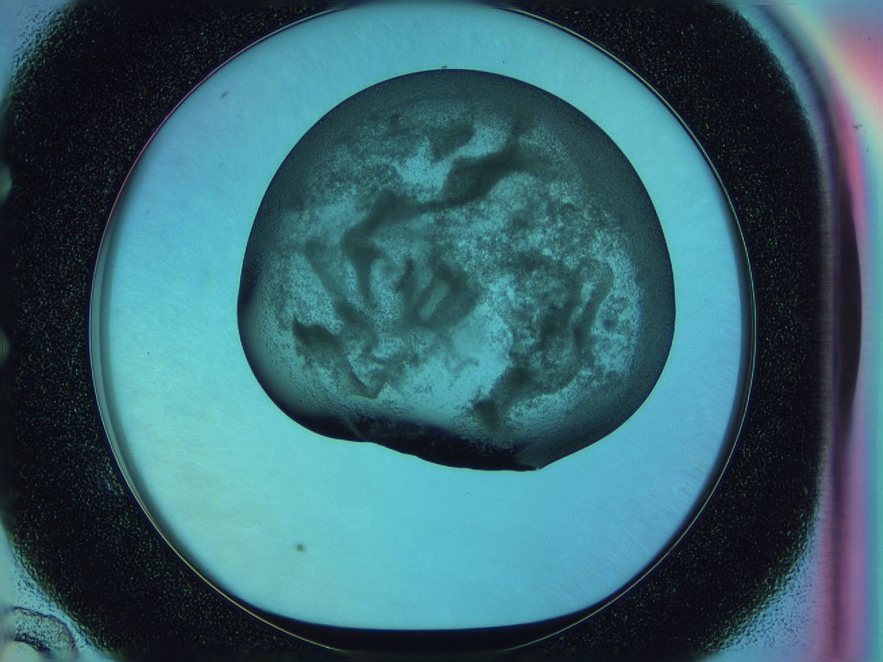 0585_E10_ImagerDefaults_3.jpg