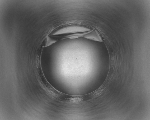 X0000055210168200508301331.png