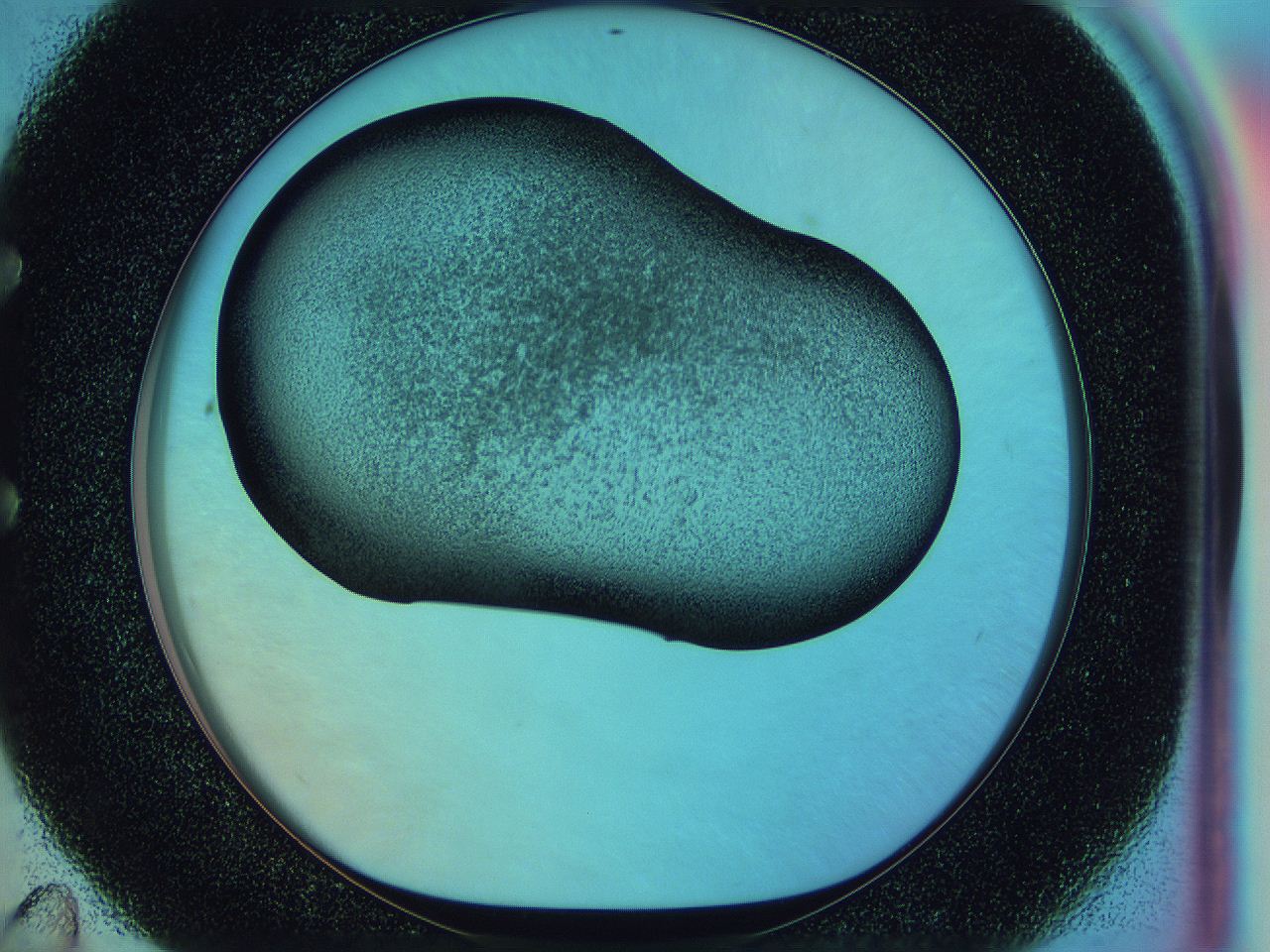 0585_E11_ImagerDefaults_3.jpg