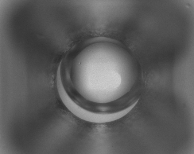X0000054930226200508291640.png