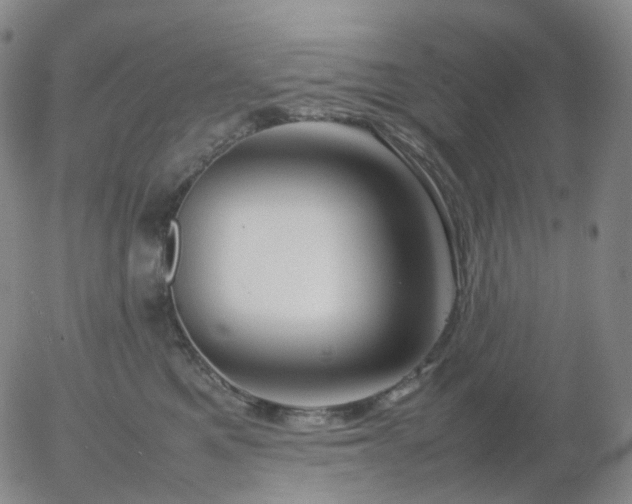 X0000054650521200508091645.png