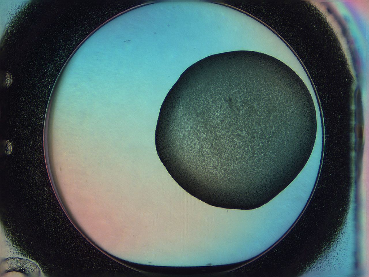 0585_E12_ImagerDefaults_3.jpg