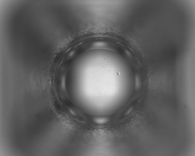 X0000052150635200507051952.png
