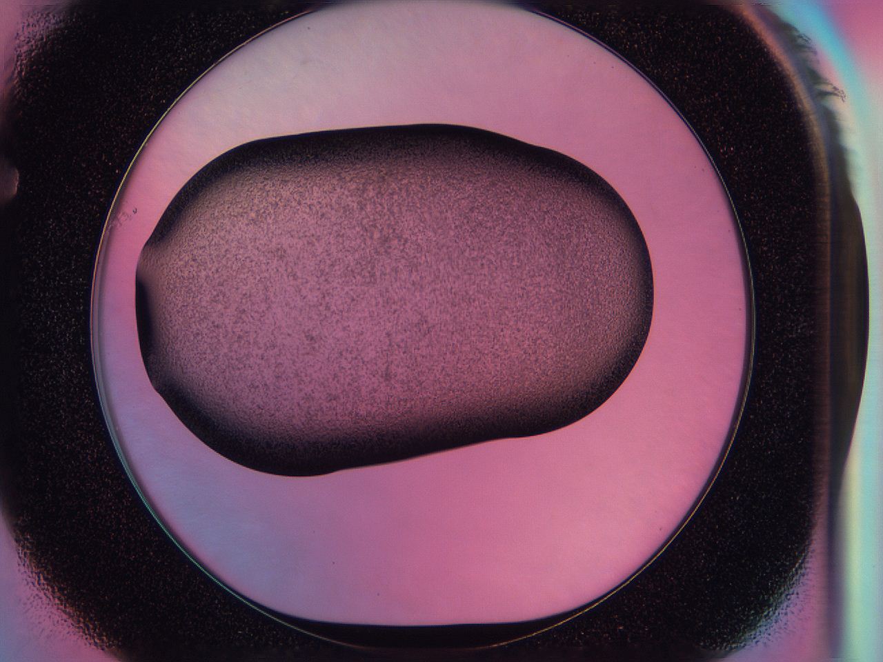 0585_F1_ImagerDefaults_3.jpg