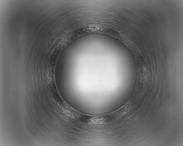 X0000055060606200508161647.png