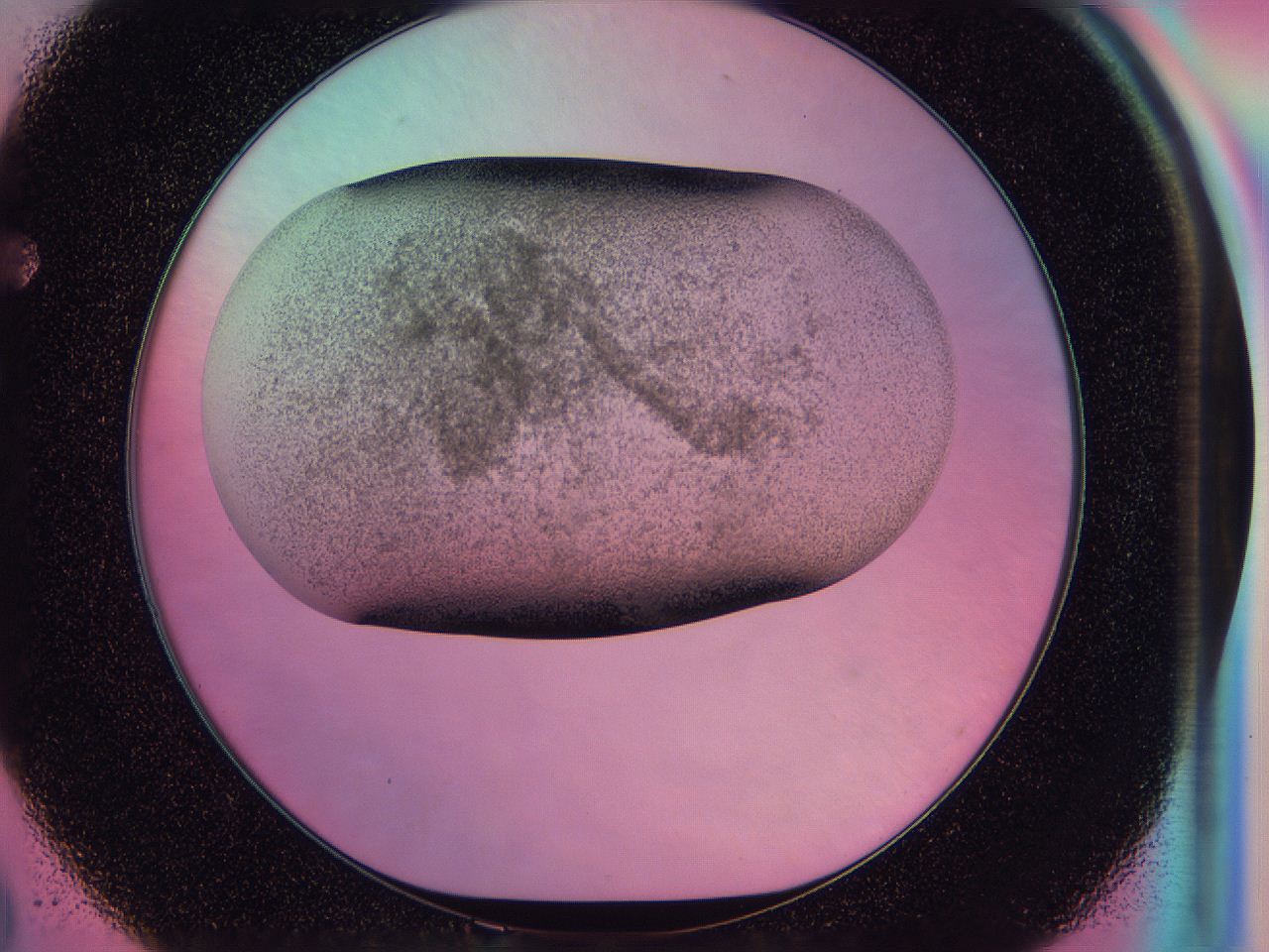 0585_F2_ImagerDefaults_3.jpg