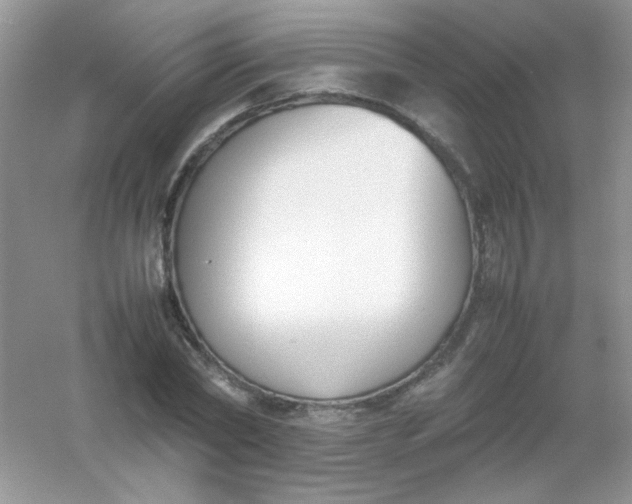 X0000054330782200508111918.png