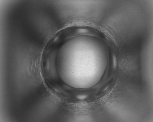 X0000052020844200507181624.png