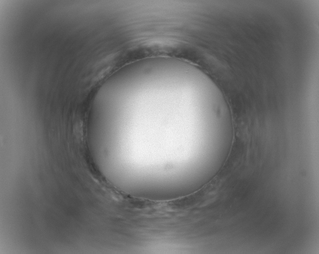 X0000054331061200508111913.png