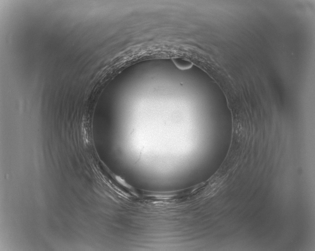 X0000055061490200508161632.png