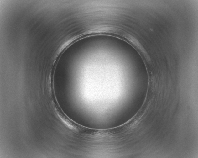 X0000054330842200508111917.png