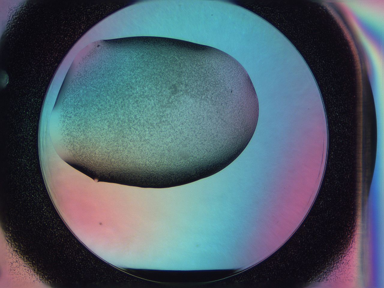 0585_F6_ImagerDefaults_3.jpg