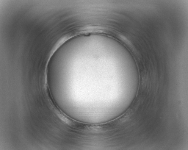 X0000054331370200508111908.png