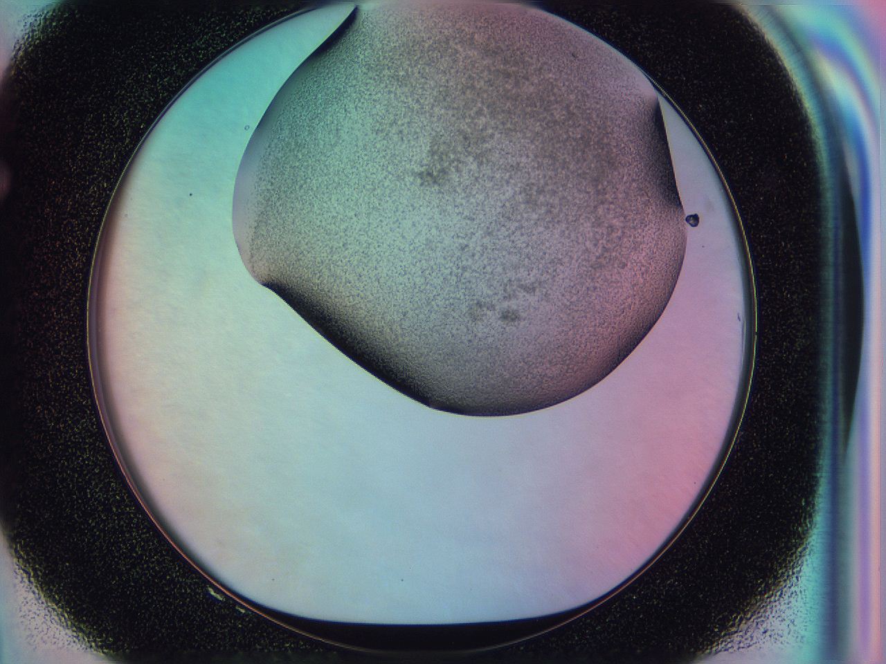 0585_F8_ImagerDefaults_3.jpg