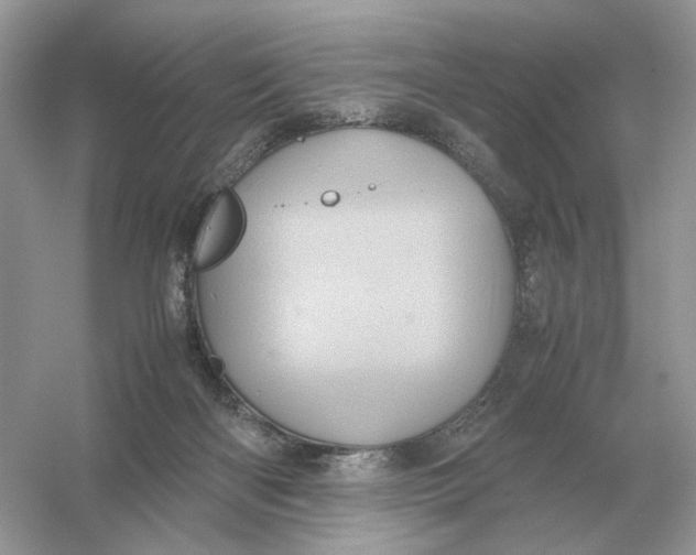 X0000054350122200508190138.png