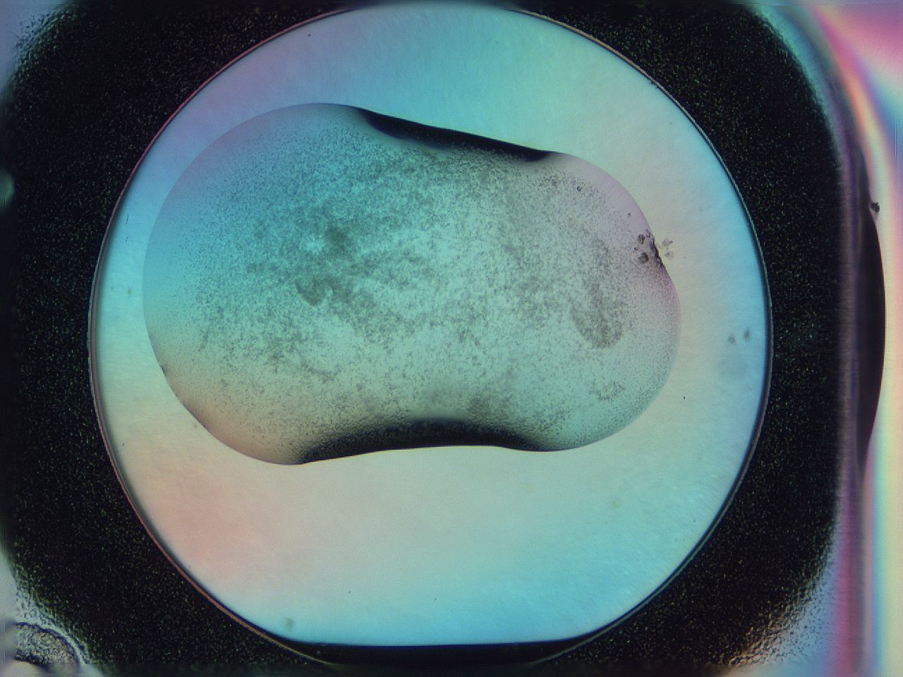 0585_F10_ImagerDefaults_3.jpg