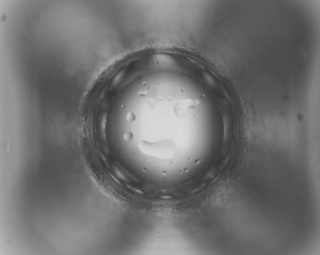 X0000052890728200507272229.png