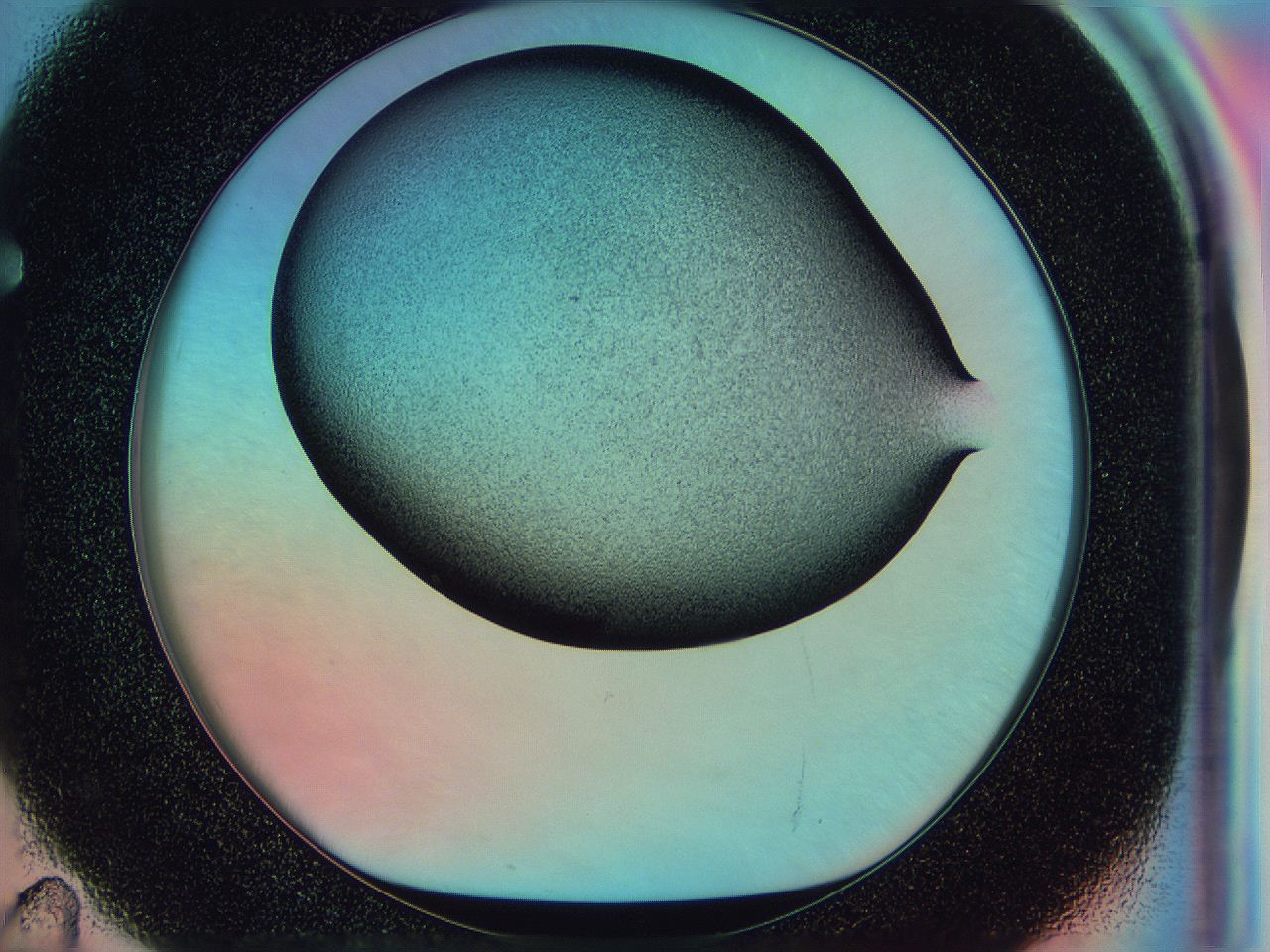 0585_F11_ImagerDefaults_3.jpg