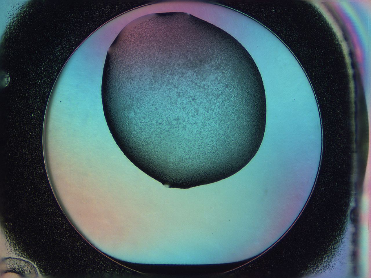 0585_F12_ImagerDefaults_3.jpg