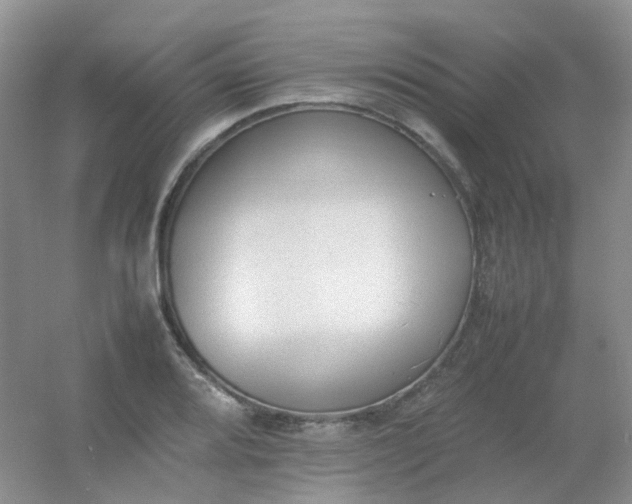 X0000054331080200508111913.png