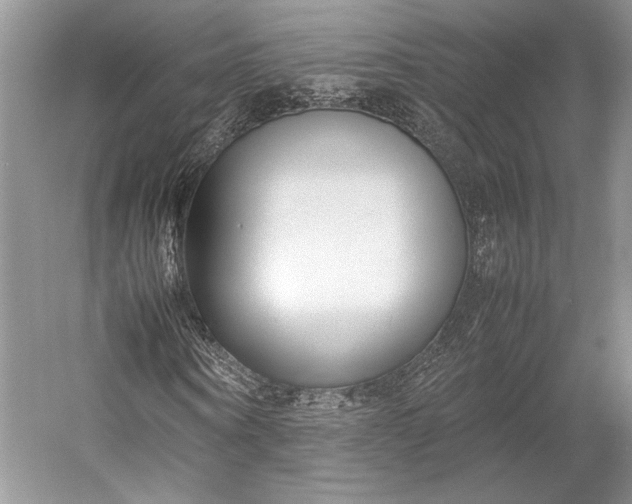 X0000055060866200508161643.png