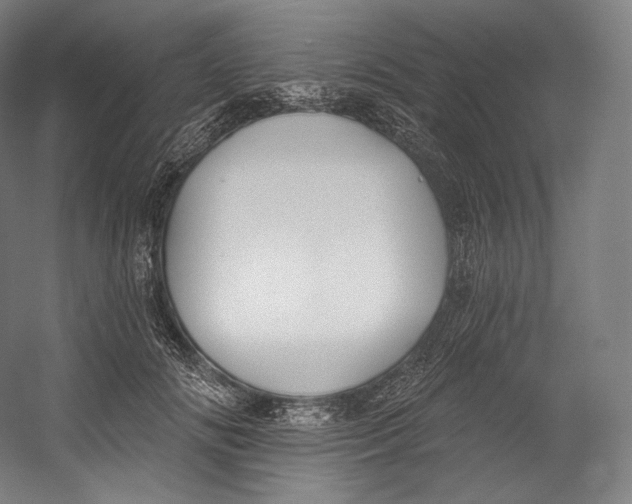 X0000055210702200508301322.png