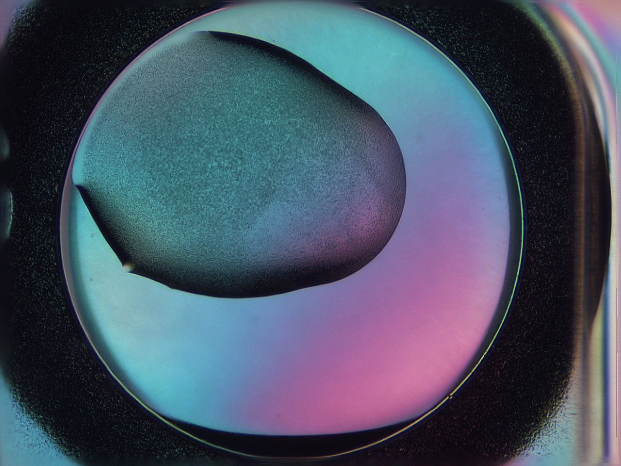0585_G4_ImagerDefaults_3.jpg