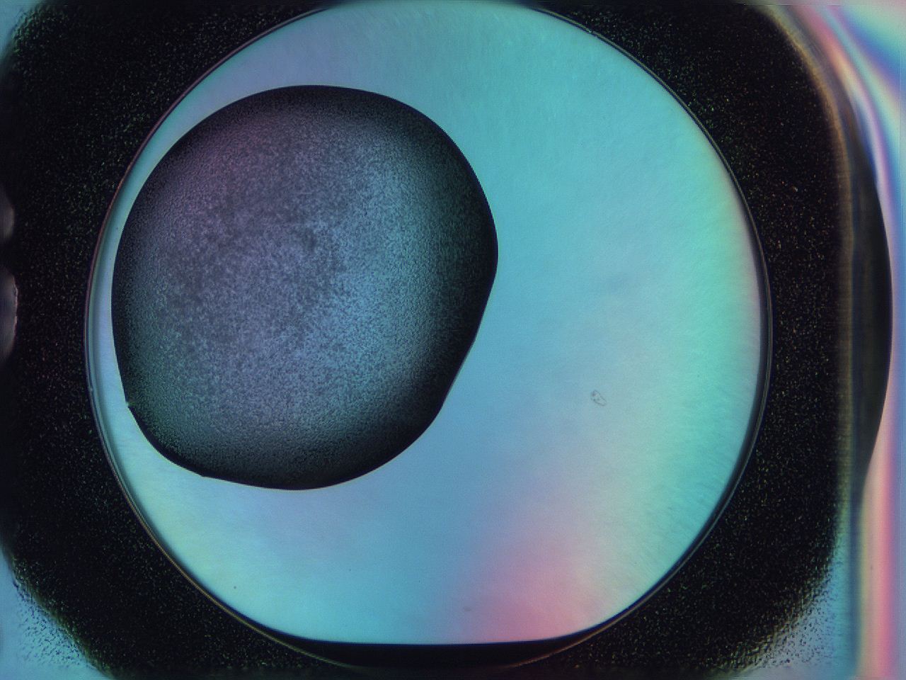0585_G6_ImagerDefaults_3.jpg