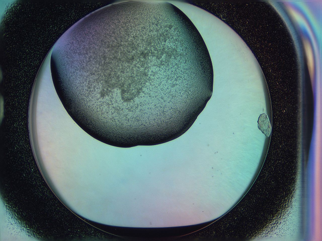 0585_G8_ImagerDefaults_3.jpg