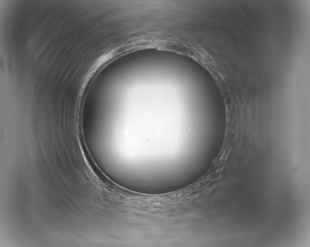 X0000055060003200508161658.png