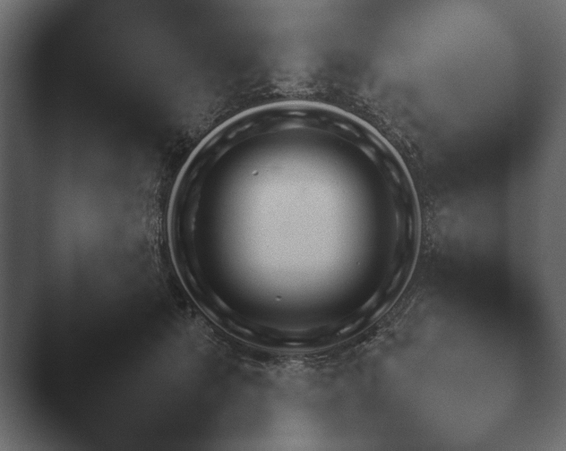 X0000047500513200503161517.png