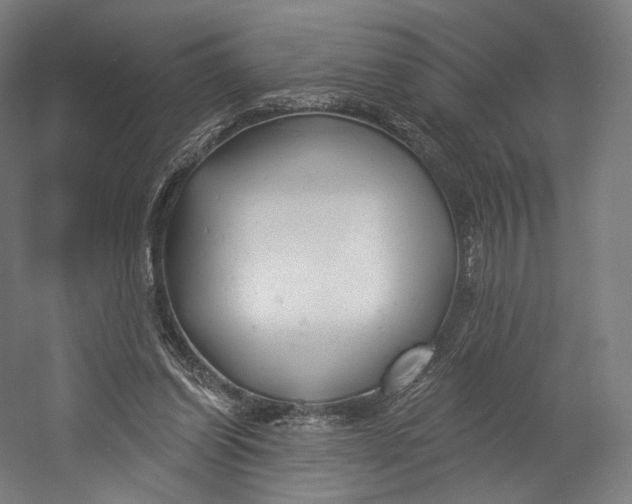 X0000055210254200508301329.png