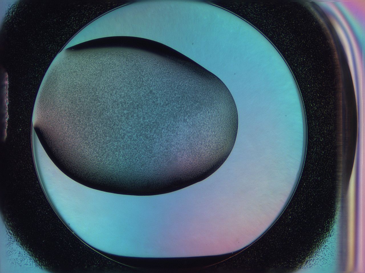 0585_H4_ImagerDefaults_3.jpg